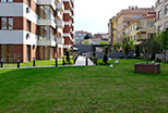 TOYAVISTA