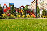 TOYAVISTA