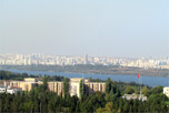 TOYAVISTA